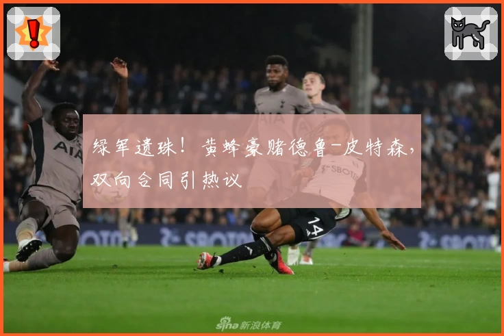 绿军遗珠！黄蜂豪赌德鲁-皮特森，双向合同引热议