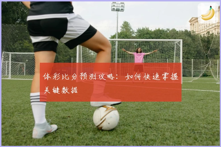 体彩比分预测攻略：如何快速掌握关键数据