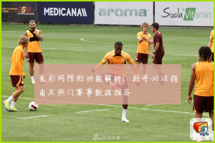 竞彩网预测功能解析：新手必读指南及热门赛事数据推荐